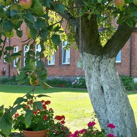 Pod Jablonia Apartment Устроне Морске Екстериор снимка